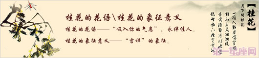 桂花的花语是什么？桂花的象征意义