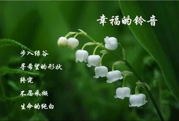 铃兰的花语