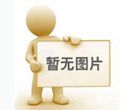 西夏石烤羊
