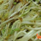 葱油炒黄豆芽