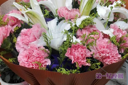康乃馨花语